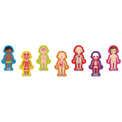 Quebra-Cabeça Corpo Humano