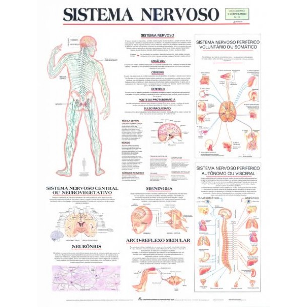 Mapa Sistema Nervoso