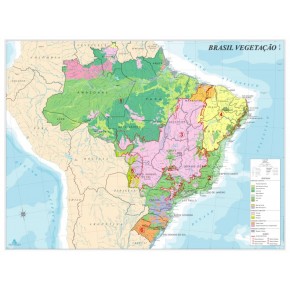 Mapa Brasil Vegetação