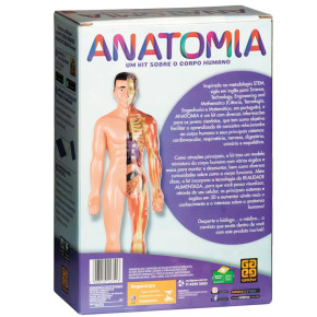 Anatomia - Stem