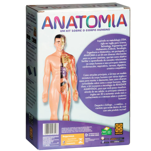 Anatomia - Stem