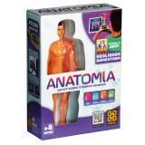 Anatomia - Stem