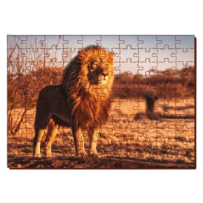 Quebra-Cabeça 100 pçs Leão Animais da Savana